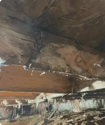 crawlspace smartjack before