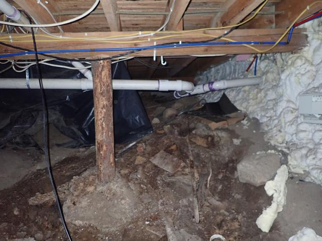 Damp crawl space with water intrusion in Hackensack, MN before repair