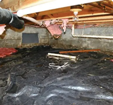 crawl space repair encapsulation