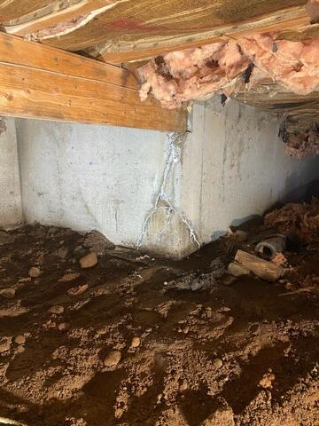 A clean concrete foundation wall showing repaired cracks sealed with NexusPro next to a freshly leveled and graded dirt crawl space floor in Cloquet, MN.